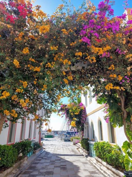 Vv Velero Apartman Puerto De Mogan Kültér fotó